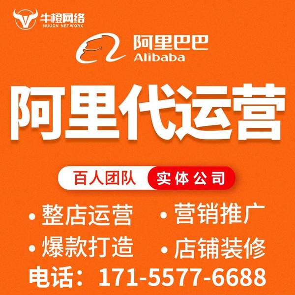 滁州电商代运营