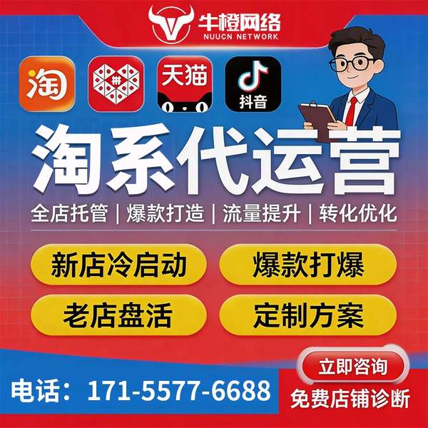 滁州电商代运营