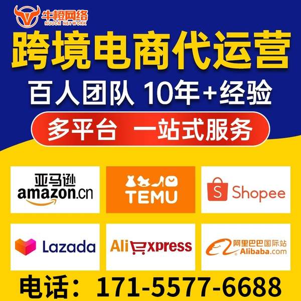 滁州电商代运营