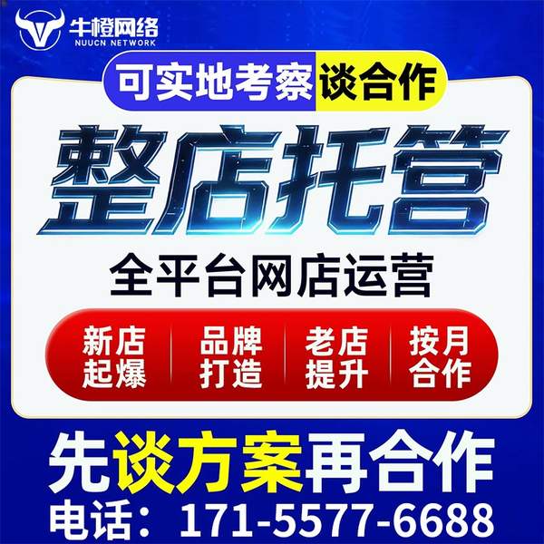 滁州电商代运营