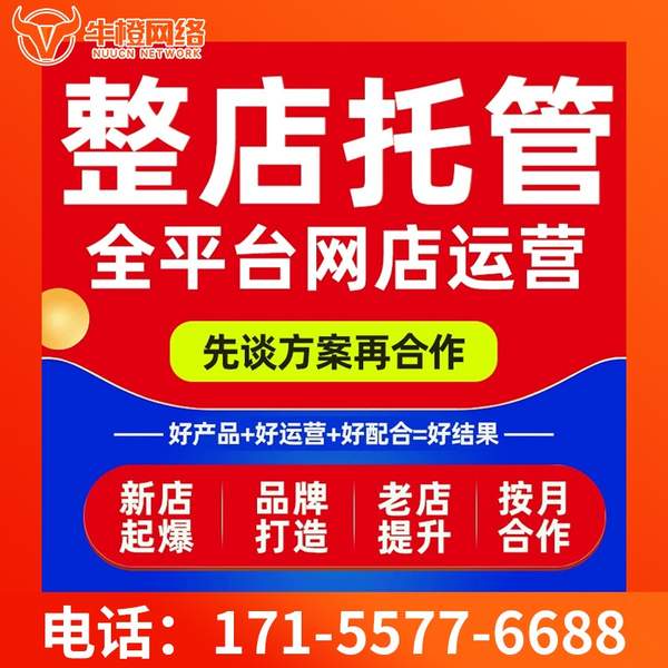 滁州电商代运营