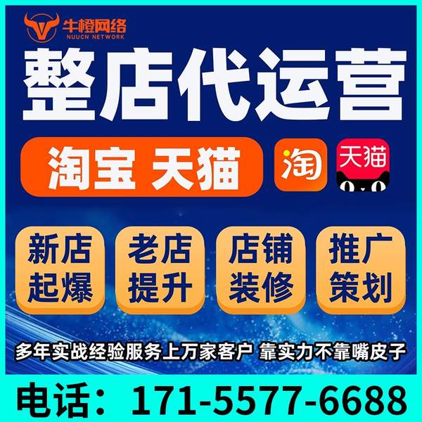 滁州电商代运营