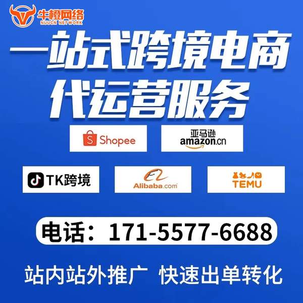 滁州电商代运营