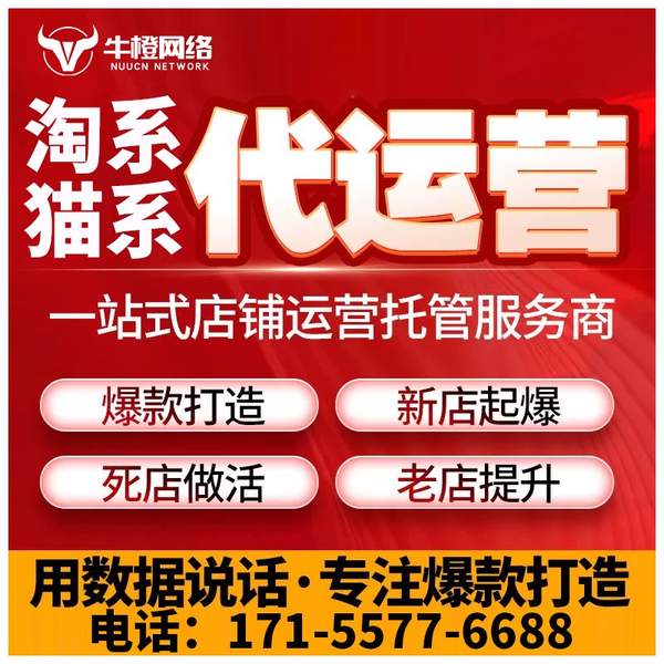 滁州电商代运营
